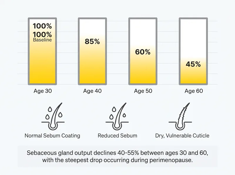 Infographic showing sebum production decline from age 30 to 60 with visual representation of scalp dryness